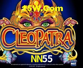 Login Seguro NN55